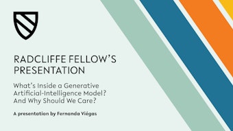 Play video of fellow's presentation by Fernanda Viegas