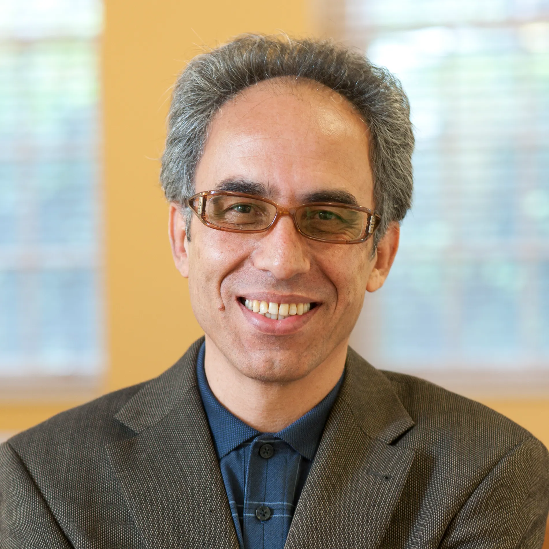 Mortaza Mardiha | Radcliffe Institute for Advanced Study at Harvard ...