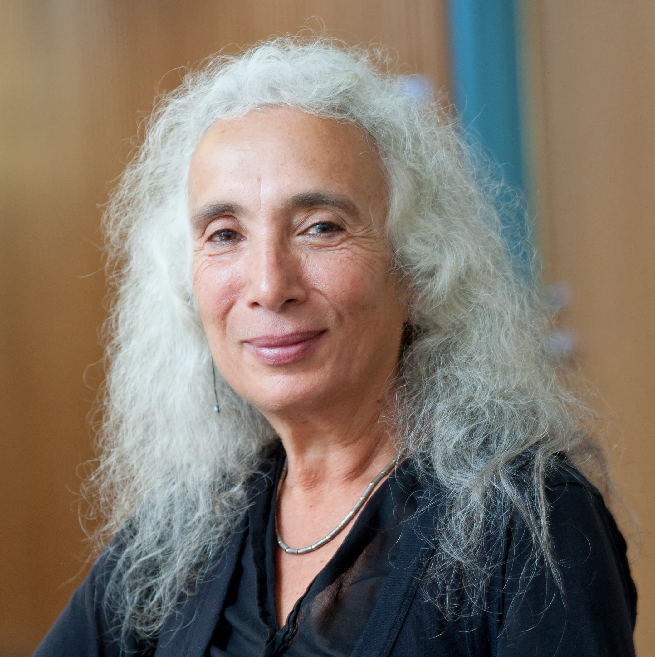 Tova Reich | Radcliffe Institute for Advanced Study at Harvard University