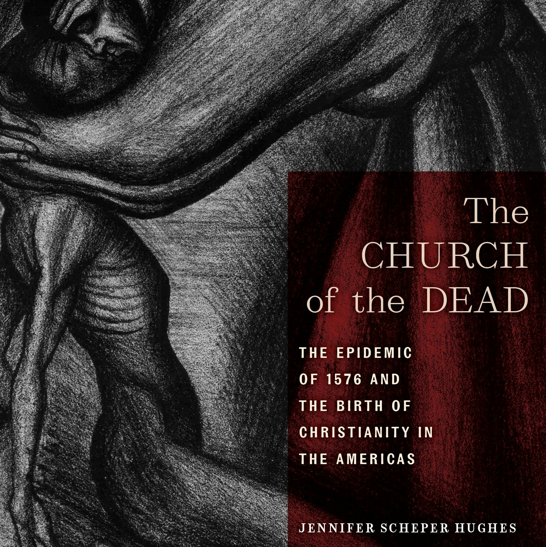 The cover of Jennifer Scheper Hughes's Church of the Dead
