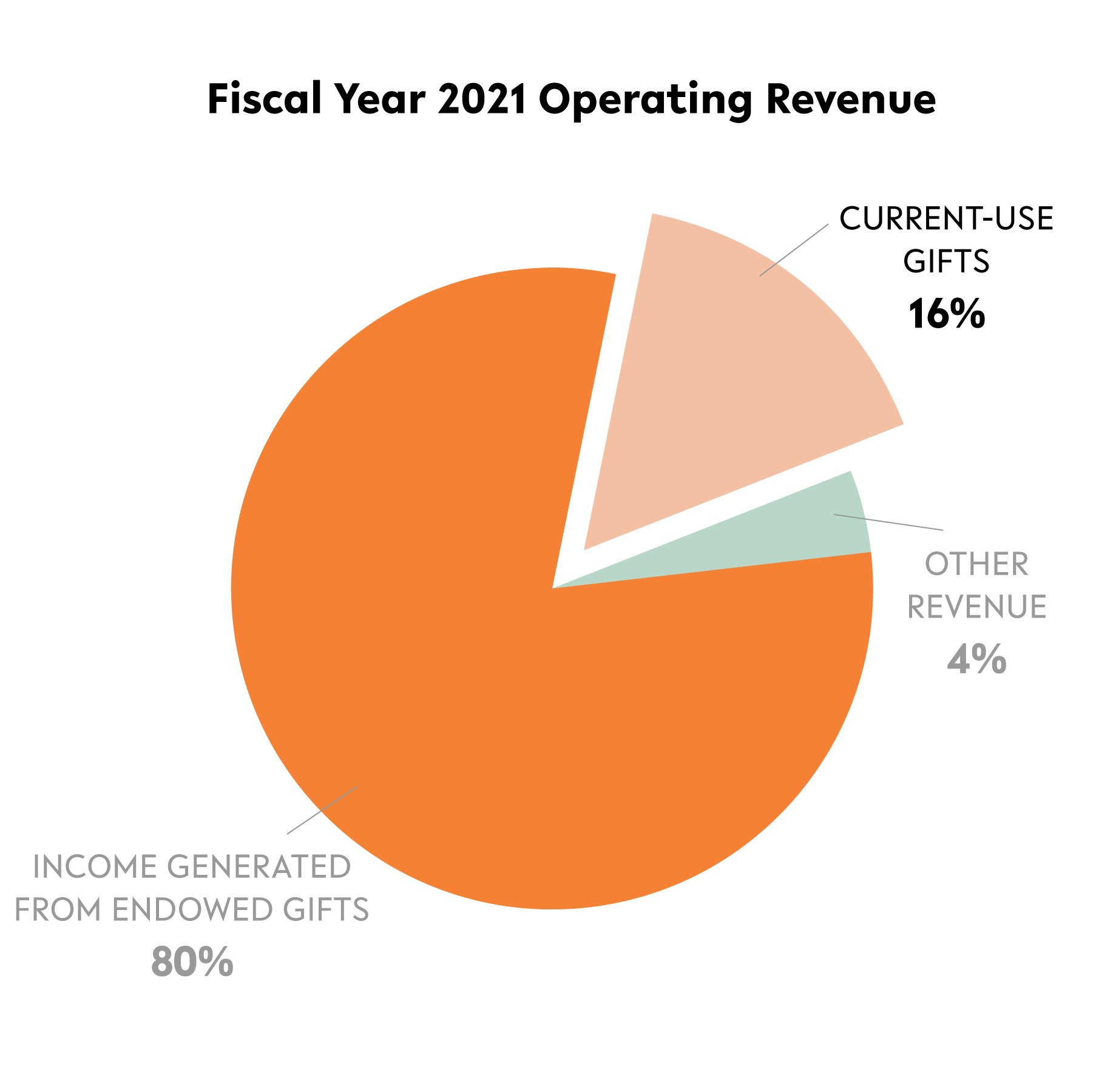 Pie chart depicting operating revenues in fiscal year 2021