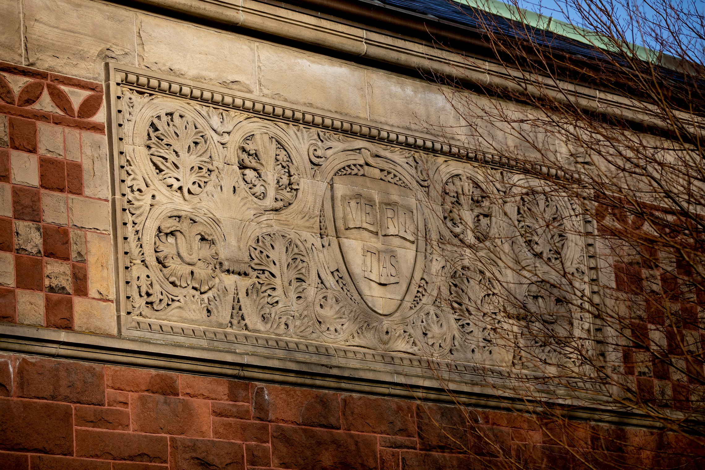 Close-up of Harvard shield carved into the brick wall of Austin Hall.