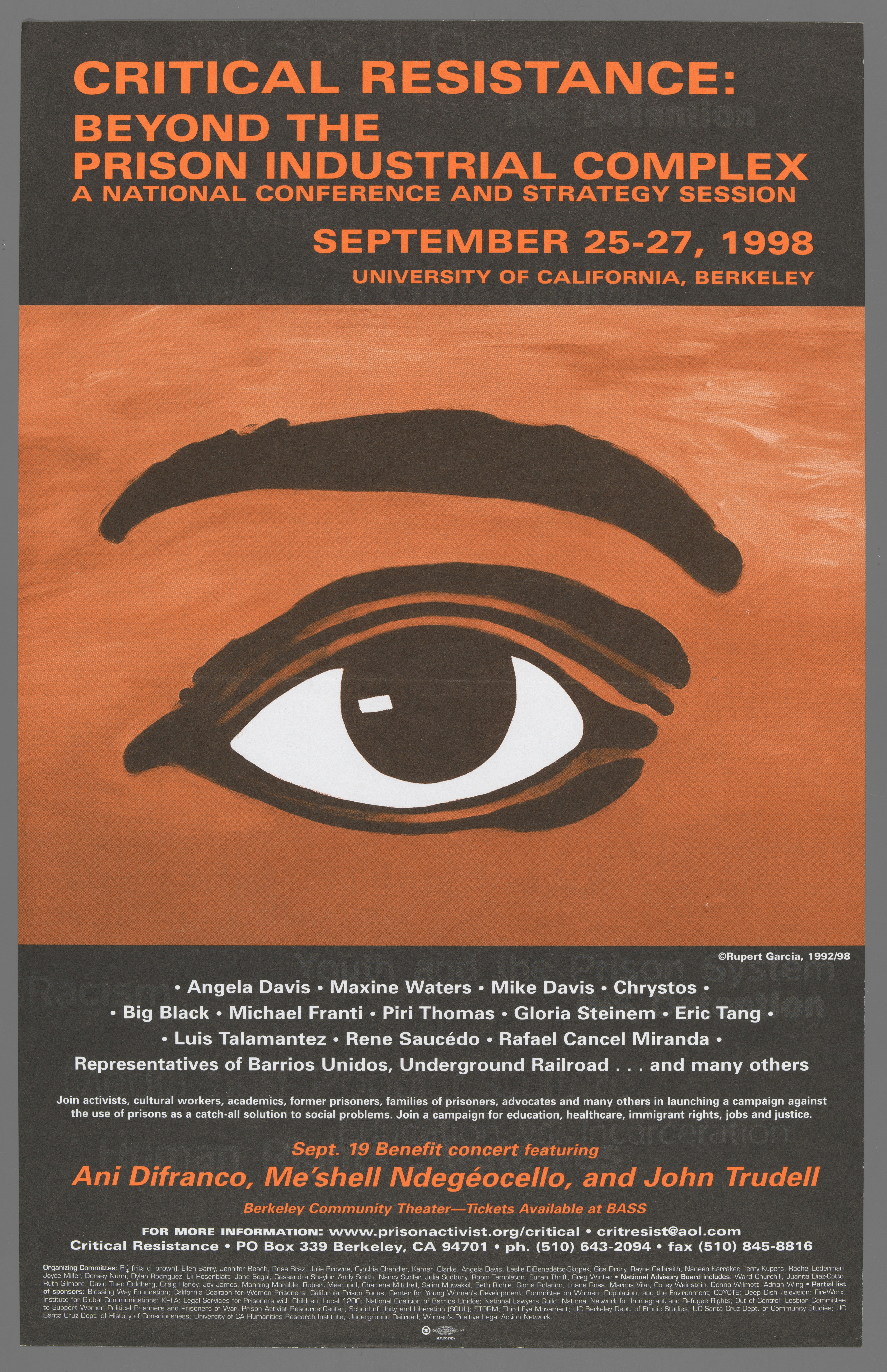 Critical Resistance Poster with image of singular eyeball and eyebrow. Background is in a burnt orange color.