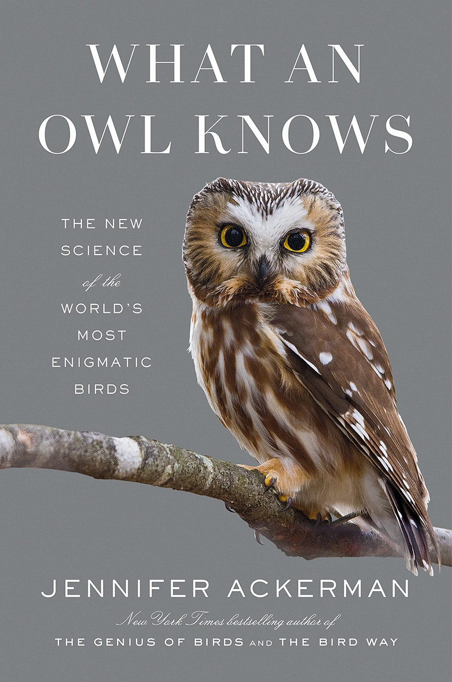 The cover of Ackerman's What An Owl Knows, which has a close-up photo of an owl standing on a branch