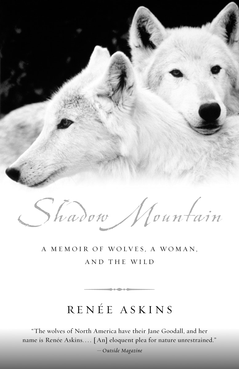 Askins Renee Shadow Mountain Book Cover