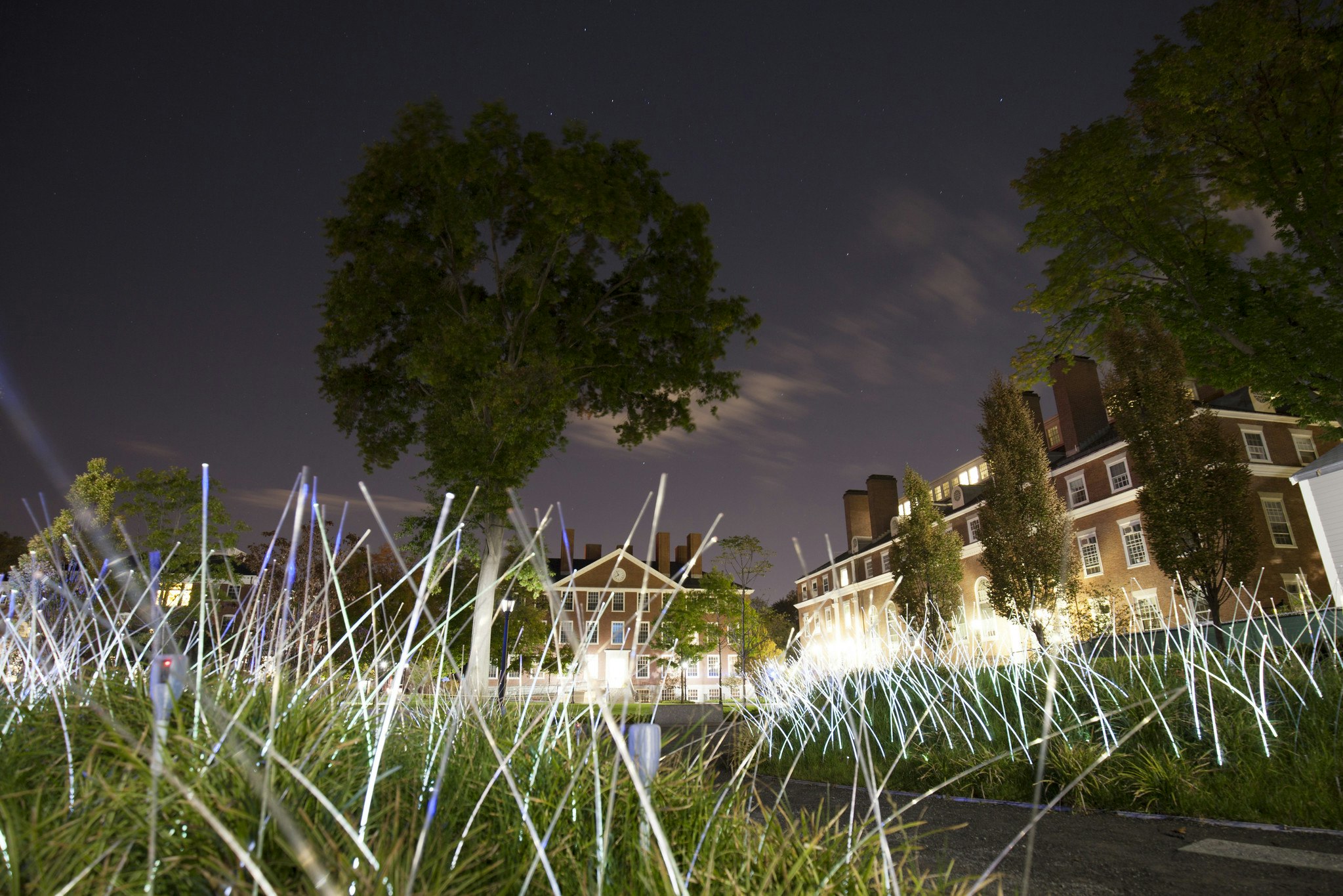 Long glow stick type light fixtures, standing on the grass on an evening. Buildings are in the background with a large tree. The sky is dark.