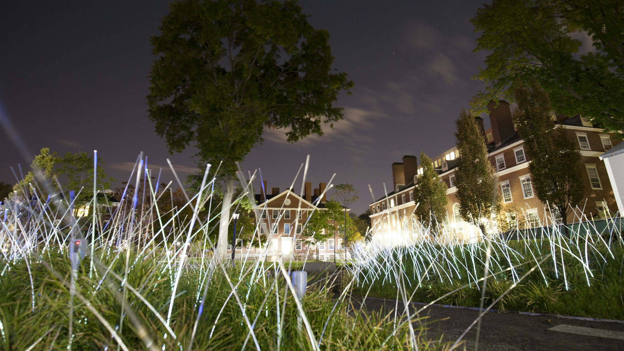 Long glow stick type light fixtures, standing on the grass on an evening. Buildings are in the background with a large tree. The sky is dark.