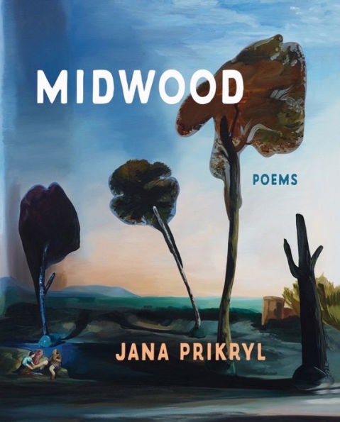Midwood book cover