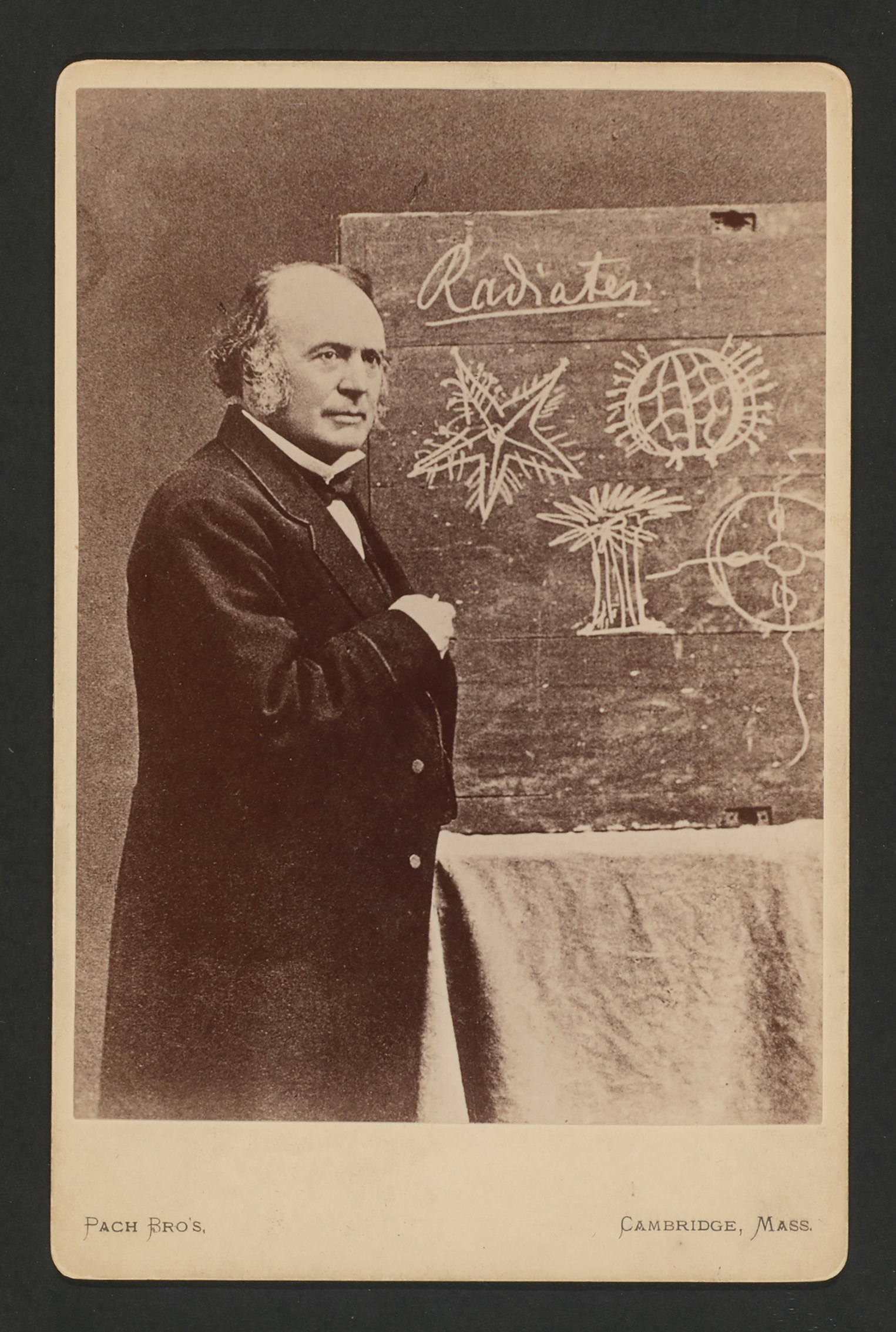 Louis Agassiz in front of a chalkboard
