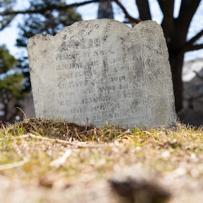 Tombstone in Mt. Auburn Cemetery that reads, “Here lyes ye body of Cecily, negro, late servant to ye Reverend Mr. William Brattle. She died April 8, 1714, being 13 years old.”