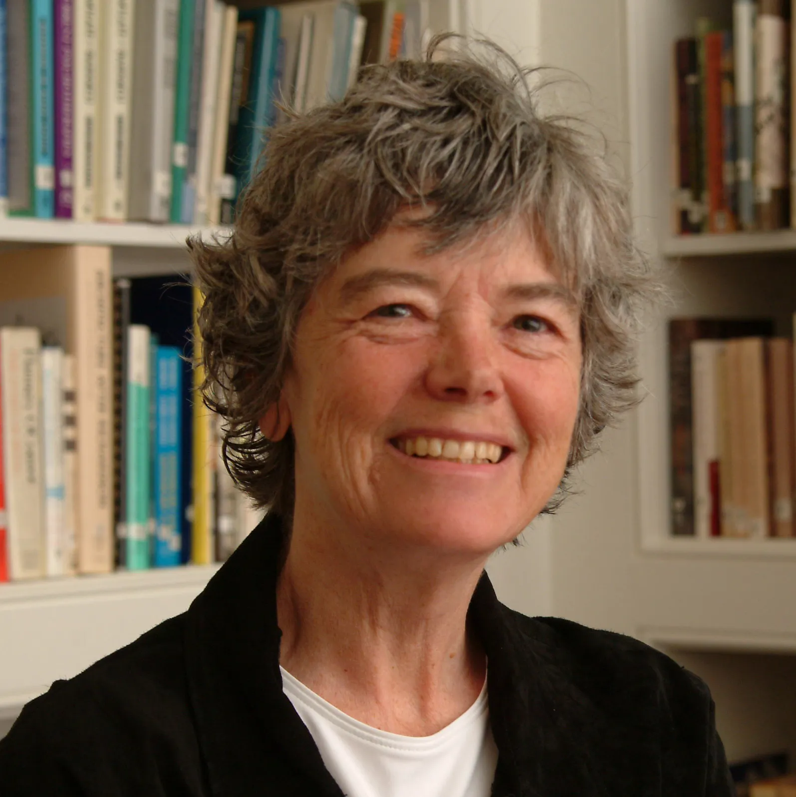Jane J. Mansbridge | Radcliffe Institute for Advanced Study at Harvard ...
