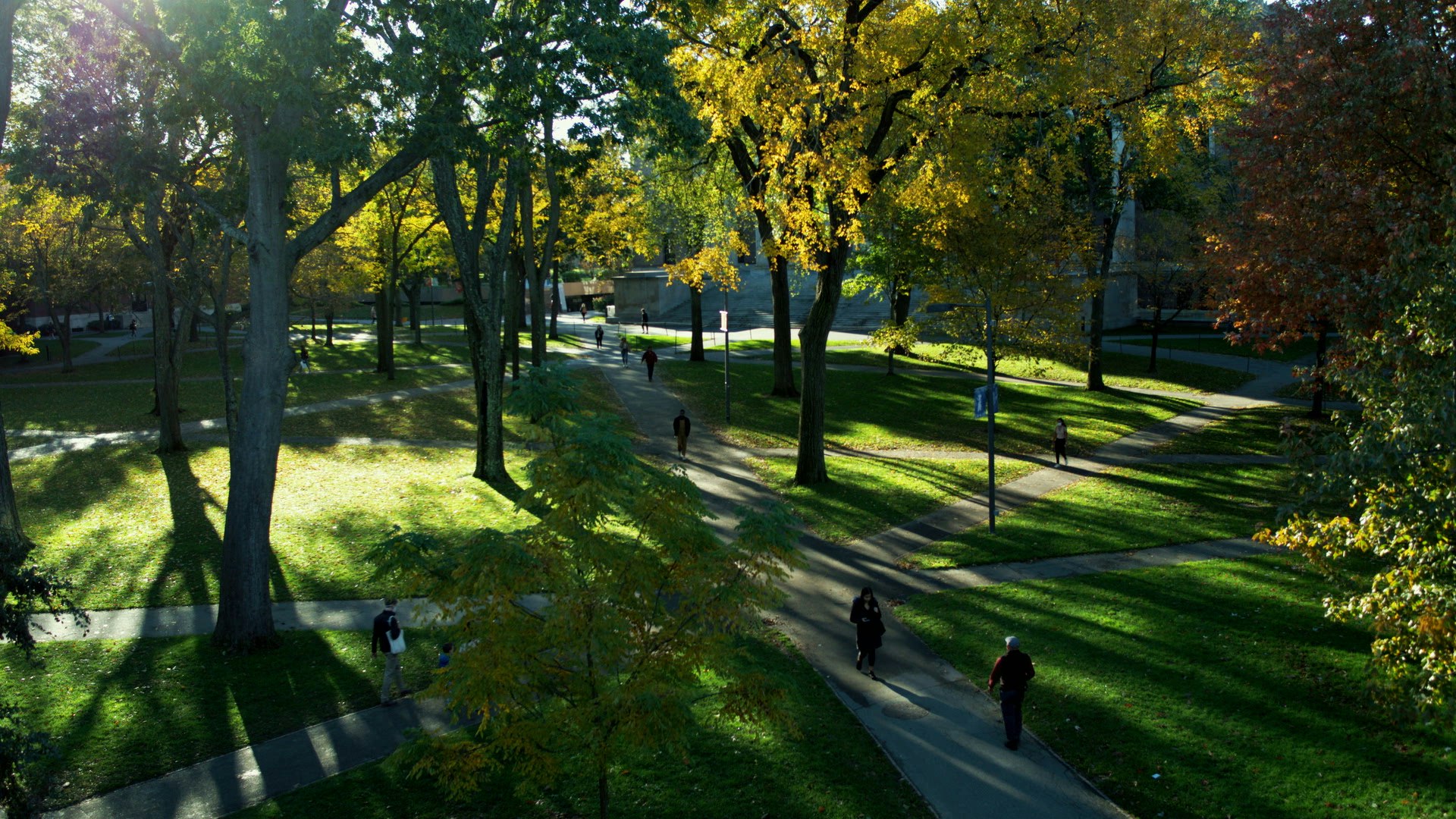 Aerial shot of paths in Harvard Yard with sunlight and shadows of trees