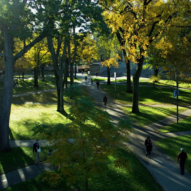 Aerial shot of paths in Harvard Yard with sunlight and shadows of trees