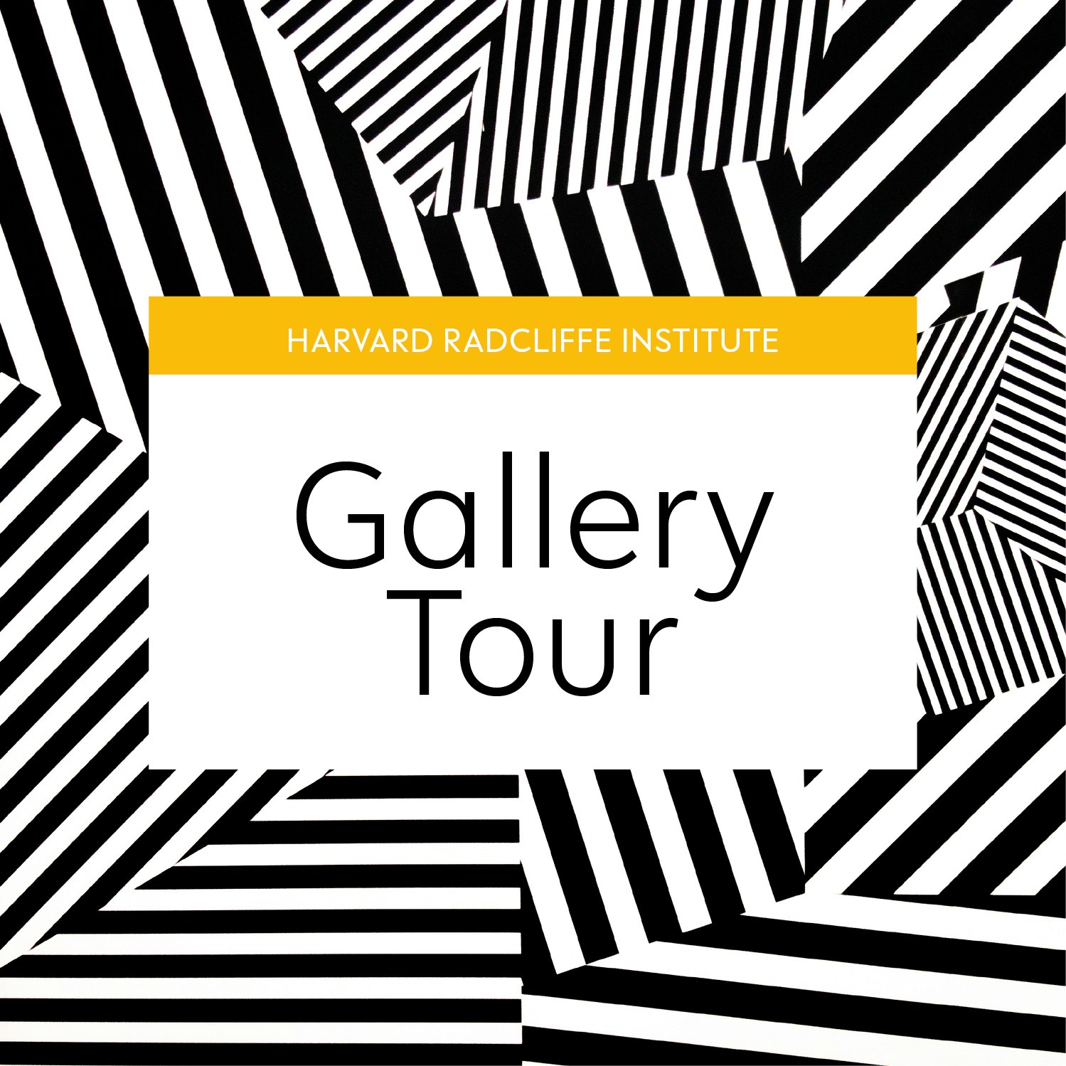 Harvard Radcliffe Institute Gallery Tour