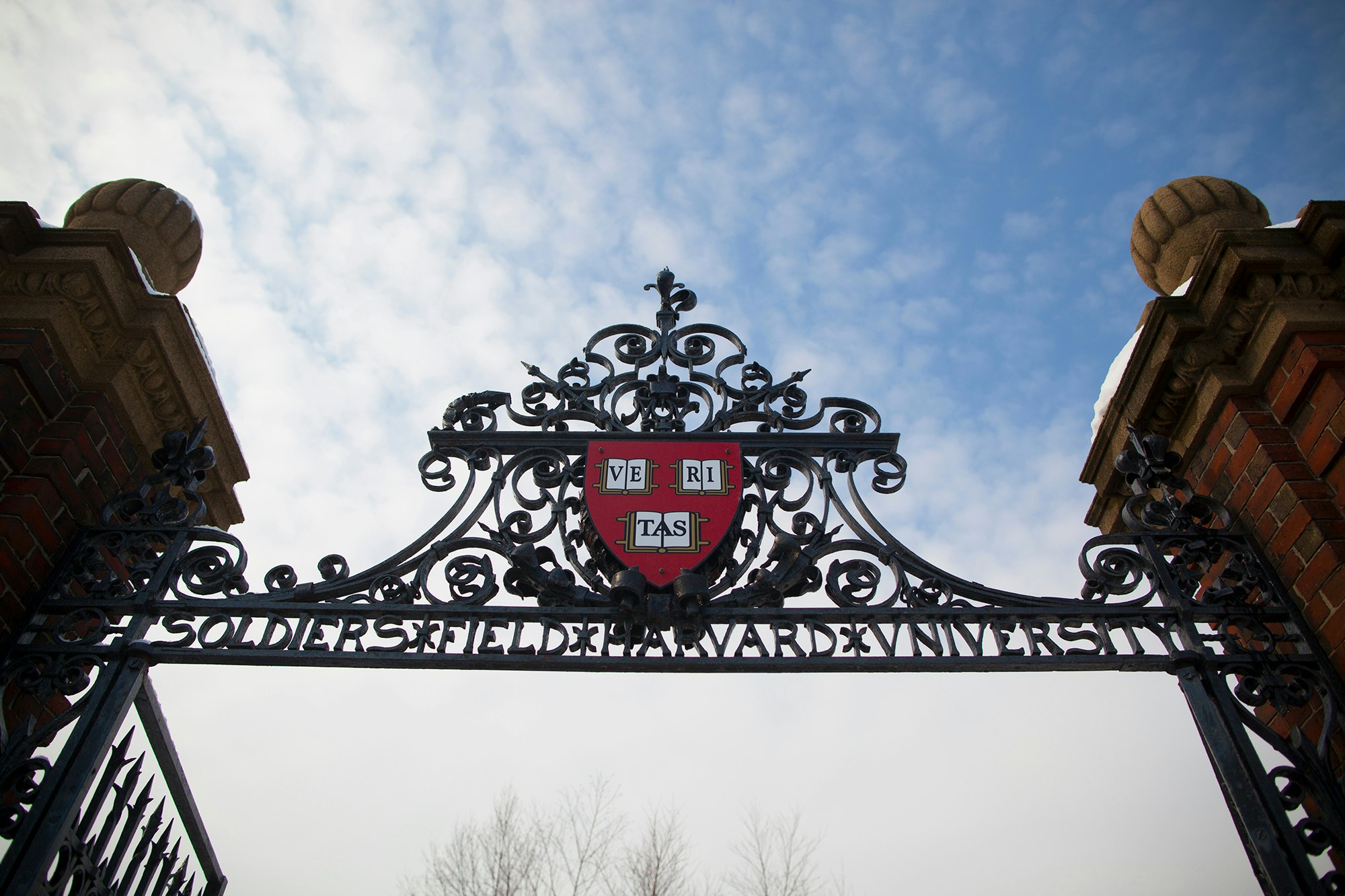 iron gate decorated with red Harvard shield