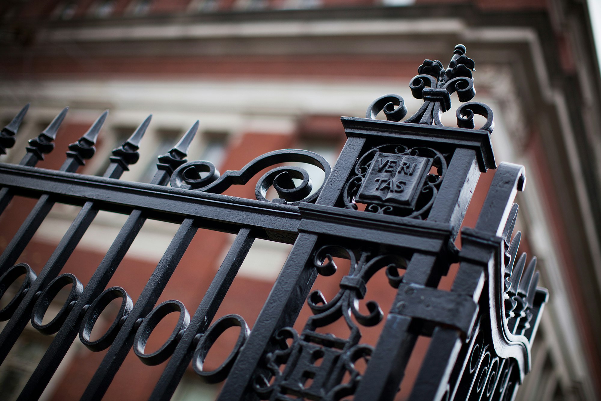 iron fence decorated with Harvard shield
