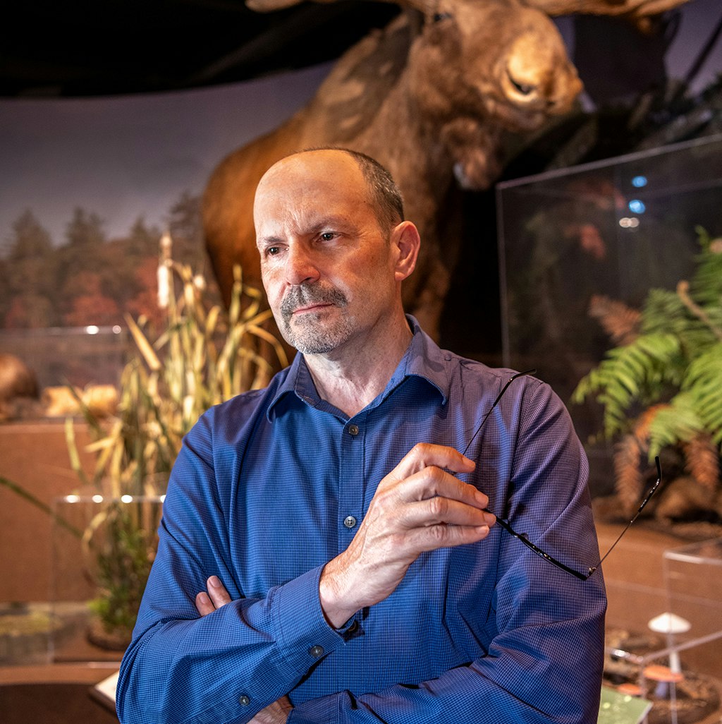 Joe Roman stands, arms crossed and holding his glasses in one hand, in front of the moose diorama in the Harvard Museum of Natural History.