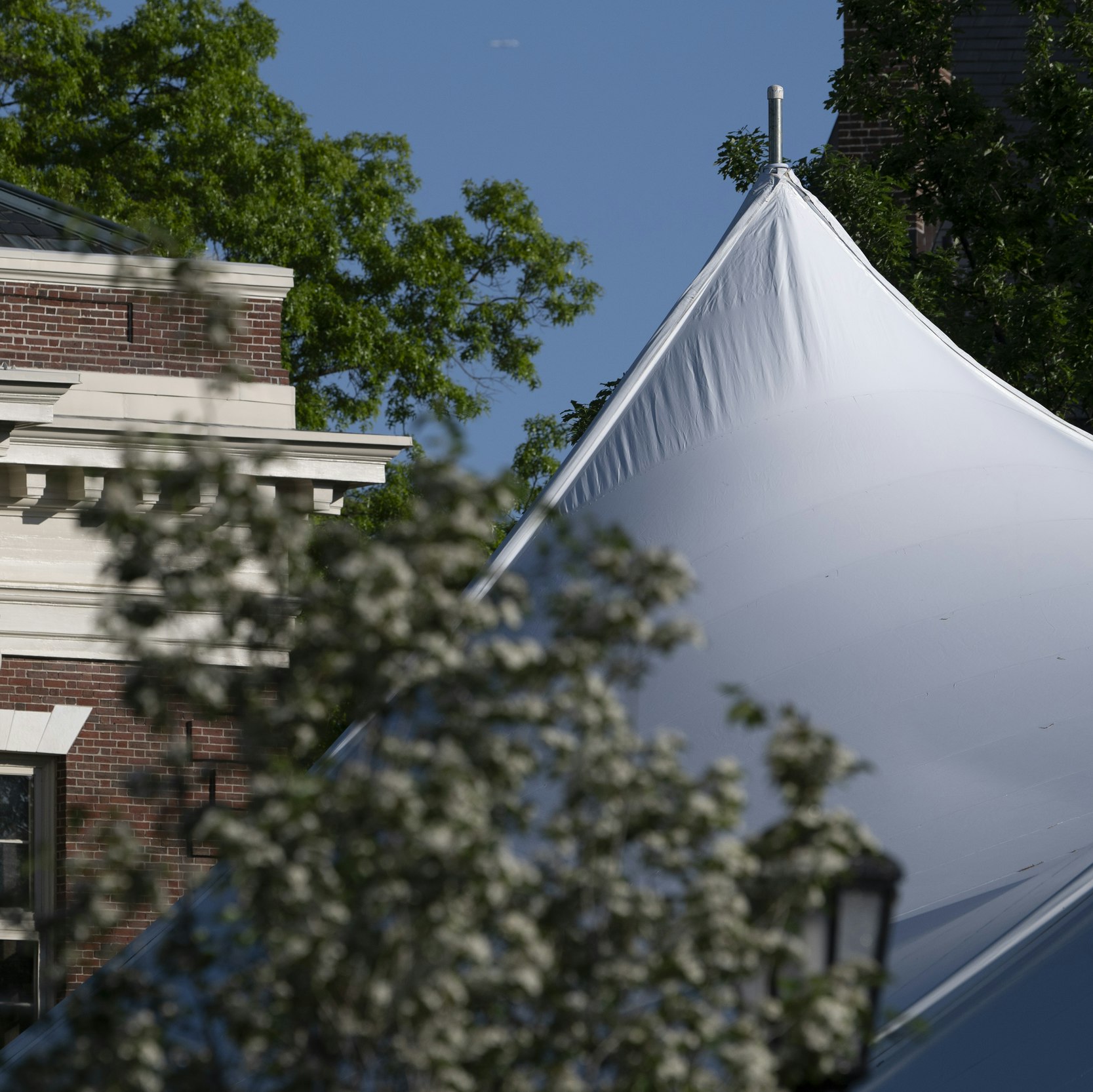 A big white party tent seen through the trees under blue skies.