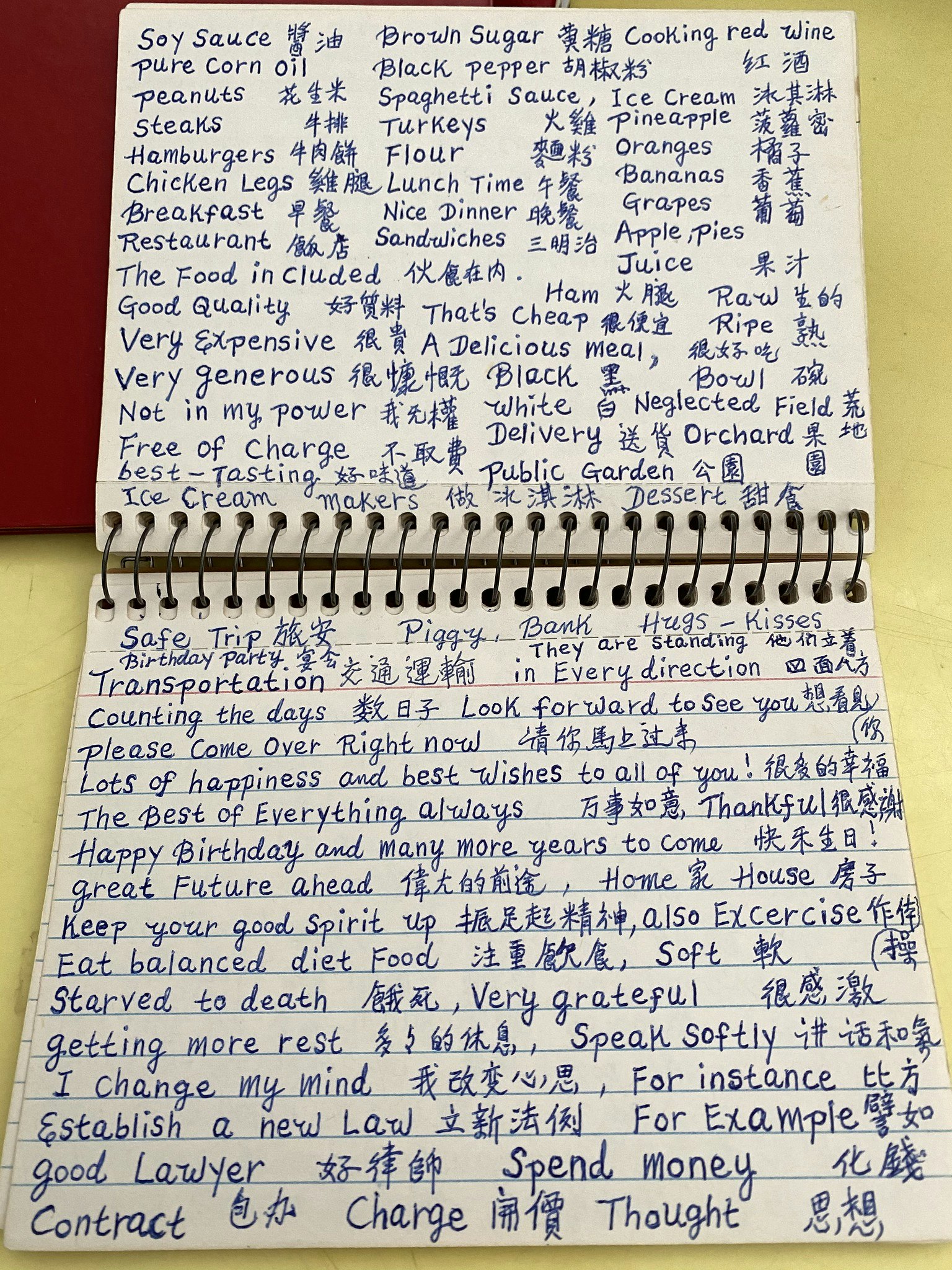 Notebook pages full of vocabulary words and phrases written in careful handwriting.